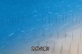 中途破戒不可怕，可怕的是你放弃了！#因果图片