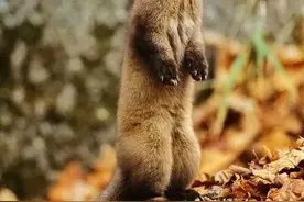 农村老人有忠告：“出门遇3事，预兆有祸事”，指哪3事？有道理么图片