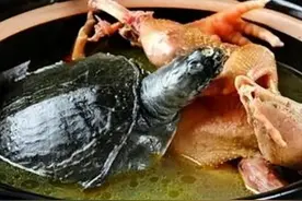 美食故事：从“龙凤烩”到“霸王别姬”，一部喜剧+悲剧的二重奏图片