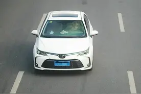 套牌、无证……交通违法无处可逃！图片