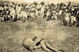 成年男性，能徒手打败豹子吗？图片