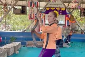 妇人口吞眼镜王蛇表演：可以养家糊口图片