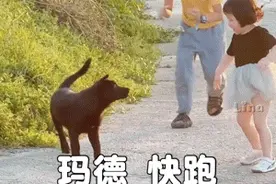 可爱摇一摇表情包图片