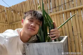 王勉为什么不继续参加《脱口秀大会5》？大概有以下3点原因图片