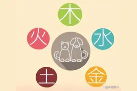 家畜与五行，动物的金木水火土图片