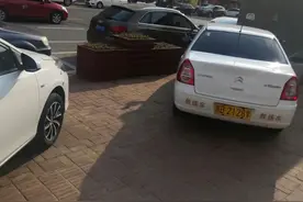 太“任性”？鹤城交警、运管发声图片