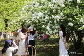 突然发现，芜湖原来有这么多“网红打卡点”图片