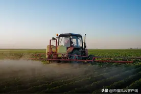 9个月狂赚34亿，一年顶九年，和邦生物：行业高景气，家里真有矿图片