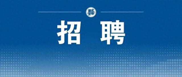 1132人！湖北省省直事业单位招聘公告发布