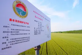 永久基本农田能干什么、不能干什么，这些红线碰不得图片