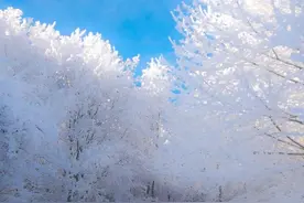 我在洗浴中心的那些日子(第24集)图片