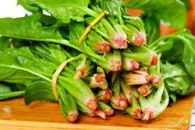 春天养肝正当时，建议中老年：多吃这3种“养肝菜”，常吃少生病图片