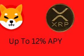 顶级加密货币所以高达 12% 的年利率为 Shiba Inu 和 Ripple发起质押图片