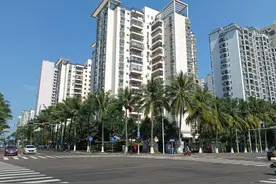 萍姐（小说）图片