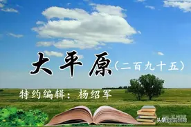 大平原（二百九十五）|那个讨厌警察的孩子图片