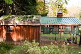 20款庭院鸡舍设计，实用与美观同在！生机盎然图片