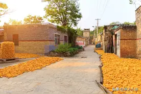 老人说：“宁可房前出场小，不可房前有良田”啥意思，有道理吗？图片