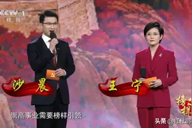 央视专题节目主持人调整，沙晨接替刚强与王宁搭档，网友好评不断图片