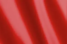 井冈山的斗争——依靠群众求胜利图片