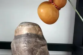 捡石记（1）图片