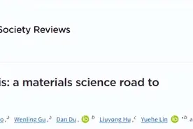 纳米生物催化：通向生物催化的材料科学之路图片