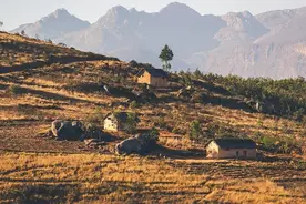 如果我是劳荣枝，当年也会爱上“魔王”法子英图片