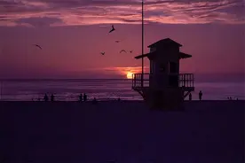 交强险到期多少天内补交不算过期？购买后多久生效？图片