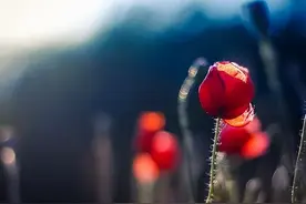 比起接吻，男人的这几个亲密举动，更能让女人心动图片