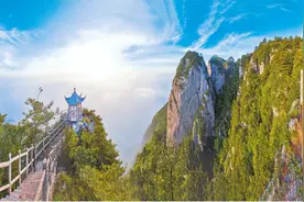 创新发展不止步 追赶超越再出发——党的十八大以来山阳县经济社会发展综述图片