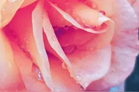 没有想到这样的事情会发生在我身上图片