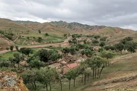 【原创】英霄老祖的出生年份考证图片