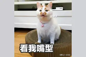 爆笑段子：刚刚去银行存钱，取号排队，保安上来问我办什么业务图片