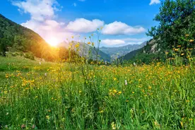 有一种爱，做不成夫妻，也会相爱到永远图片