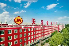 锰矿行业震荡！天元集团破产申报，行业变局来临！图片