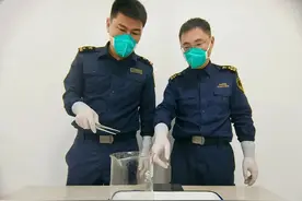 杭州海关查获活蛇！玩具里藏着4条“成王”之蛇，竟然还是杂交品图片