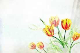 这三件东西，谁来也别借，亲戚也不行图片