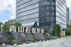 青山镍事件是教科书式的反杀图片