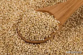 农民自留种子违法？看看法律如何规定图片