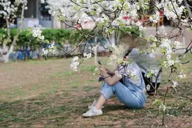 年年春天都爆美！成都1h实现梨花自由，景美还免费图片