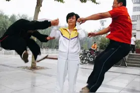 女闫芳男保国，两大“武林高手”退隐又复出的江湖，真精彩图片