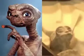 离谱！直播展示外星人，还“怀孕”了？图片