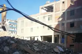 在租赁土地建设养殖场被强拆，应如何赔偿？赔偿标准是什么？图片