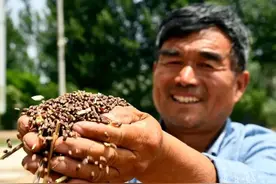 党建找准路，村庄添动力图片