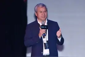 欠下56亿，官方逮捕！钻进钱眼的烟花大王，越陷越深图片