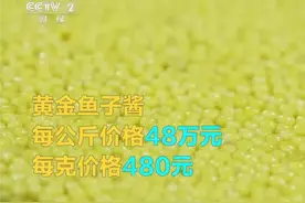 只有0.0001概率！黄金鱼子酱别说没吃过，见都没见过图片