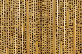 古墓出土两封秦国家信，书信内容是：“妈妈，寄点钱来快死啦！”图片