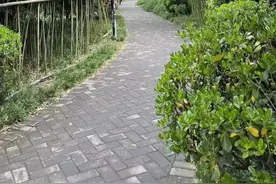 西安高新区：白天交给生活，夜晚释放灵魂图片