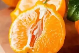 前方高甜！邛崃冬草莓、耙耙柑采摘指南来了！图片