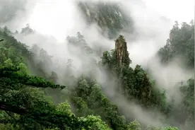 中国特有小青龙，全国不到500条，为何总遭国外惦记？图片