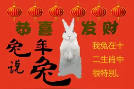 兔年说兔！它在十二生肖中很特别哦！图片